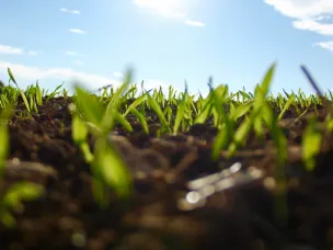 Более 13 тысяч гектаров земель сельхозназначения введено в оборот в Нижегородской области в 2024 году